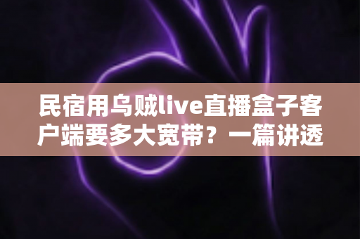 民宿用乌贼live直播盒子客户端要多大宽带?一篇讲透带宽选择与网络优化的实战指南 民宿用乌贼live直播盒子客户端要多大宽带?一篇讲透带宽选择与网络优化的实战指南