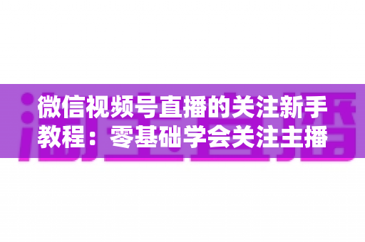 微信视频号直播的关注新手教程：零基础学会关注主播与快速涨粉的完整实操指南