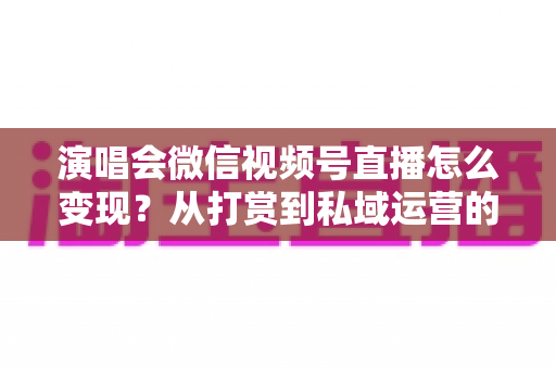 演唱会微信视频号直播怎么变现？从打赏到私域运营的全链路赚钱指南