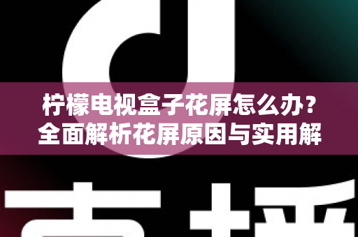 柠檬电视盒子花屏怎么办?全面解析花屏原因与实用解决方案指南 柠檬电视盒子花屏怎么办?全面解析花屏原因与实用解决方案指南