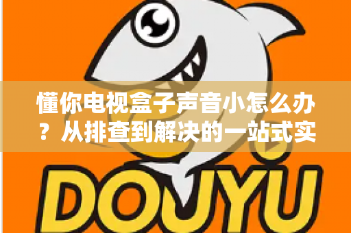 懂你电视盒子声音小怎么办？从排查到解决的一站式实用指南