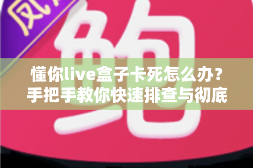 懂你live盒子卡死怎么办？手把手教你快速排查与彻底解决卡顿死机难题